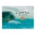 Bv Coastal Estates Pinot Noir California Red Wine Perspective: back