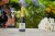 Longevity Blanc de Blanc Champagne Perspective: back