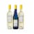 Cupcake Vineyards Angel Food White Blend California Wine Perspective: back