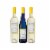 Cupcake Vineyards Angel Food White Blend California Wine Perspective: back
