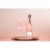 Cupcake Vineyards Prosecco Rose Wine Perspective: back