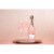 Cupcake Vineyards Extra Dry Rose Millesimato Glera Prosecco Italian Sparkling Wine Perspective: back