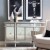 Linon Tally Mirrored Wood Console in Silver Perspective: back