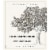 The Dreaming Tree Sauvignon Blanc California White Wine Perspective: back