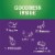 Naked Juice Protein Tropical Fruit Flavored Juice Smoothie Blend Perspective: back