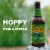Sierra Nevada Pale Ale Craft Beer Perspective: back