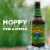 Sierra Nevada Brewing Co. Pale Ale Beer Perspective: back