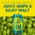 Sierra Nevada Hazy Little Thing IPA Craft Beer Perspective: back