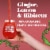 Strainge Beast Ginger Lemon & Hibiscus Hard Kombucha Perspective: back