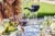 2020 Jordan® Cabernet Sauvingon Alexander Valley Perspective: back