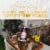 Korbel Sweet Rose California Champagne Perspective: back