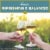 Bella Sera Pinot Grigio Italian White Wine Perspective: back