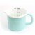 Martha Stewart Enamel on Steel Measuring Cup - Turquoise Perspective: back