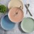 Spice by Tia Mowry Creamy Tahini 4 Piece Dinner Plate Set Perspective: back