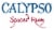 Calypso Spiced Rum Perspective: back
