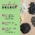 Morning Song® Melody Select™ Waste Free Nut & Fruit Bird Food Perspective: back