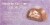 Sarris Candies Solid Nut Egg Perspective: back