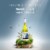 Yealands Sauvignon Blanc White wine Perspective: back