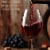 The Federalist Cabernet Sauvignon California Red Wine Perspective: back