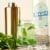 Prairie Dry Gin Perspective: back