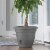 Bloem LP08908 8 in. Lucca Self Watering Planter with Saucer, Charcoal Perspective: back