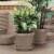 Bloem 8 In. Dia. Pebble Stone Poly Classic Flower Pot TR0883 Perspective: back