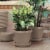 Bloem TR1683 16 in. Terra Pot Planter, Pebble Stone Perspective: back