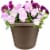 Bloem 450105-1001 10 in. Terra Pot Planter, Chocolate Perspective: back