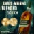 Johnnie Walker Whisky - Blended Malt Scotch JW Green Label Perspective: back