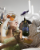 Moet & Chandon Nectar Imperial Champagne Perspective: back