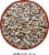 Lyric 5 Lb. Golden Safflower Wild Bird Seed 2647430 Perspective: back