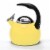 Chantal Canary Yellow Enamel-on-Steel Anniversary Tea Kettle Perspective: back