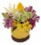 Just Hatched Arrangement - Assorted Perspective: back