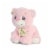 Aurora World Precious Moments Charlie Bear With Rattle So Beary Sweet Plush, Pink, 8.5" Perspective: back