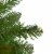 Northlight 7.5' Pre-Lit Green Medium Northern Pine Artificial Christmas Tree - Warm Clear LED Perspective: back