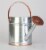 Panacea Copper/Silver 2 gal Galvanized Steel Watering Can Perspective: back