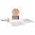 Dowling Magnets Magic Penny Magnet Kit, Fourth Edition Perspective: back