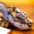 Boa Constrictor Perspective: back