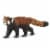 Red Panda Perspective: back