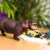 Hippopotamus Toy Perspective: back