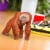 Bornean Orangutan Toy Perspective: back