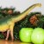 Brachiosaurus Toy Perspective: back