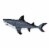 Jaw Snapping Great White Shark Perspective: back