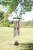 38" Cardinals Appear, Picturesque Sonnet Wind Chime Perspective: back