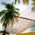Castaway Hammock Cotton Rope Large Perspective: back