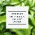 Herbal Essences Classics Clarifying Tea Tree Conditioner Perspective: back