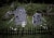 Seasons Cemetery Kit Perspective: back