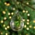 Northlight 6 Red Grape Cluster Teardrop Cloche Christmas Ornament Perspective: back