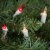 Northlight 35-Count Red and Clear Mini String Christmas Light Set, 7ft White Wire Perspective: back