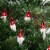 Northlight 50-Count Red Mini String Christmas Light Set, 10ft White Wire Perspective: back
